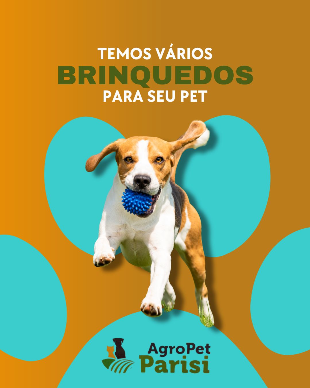 Divulgação Agro Parisi